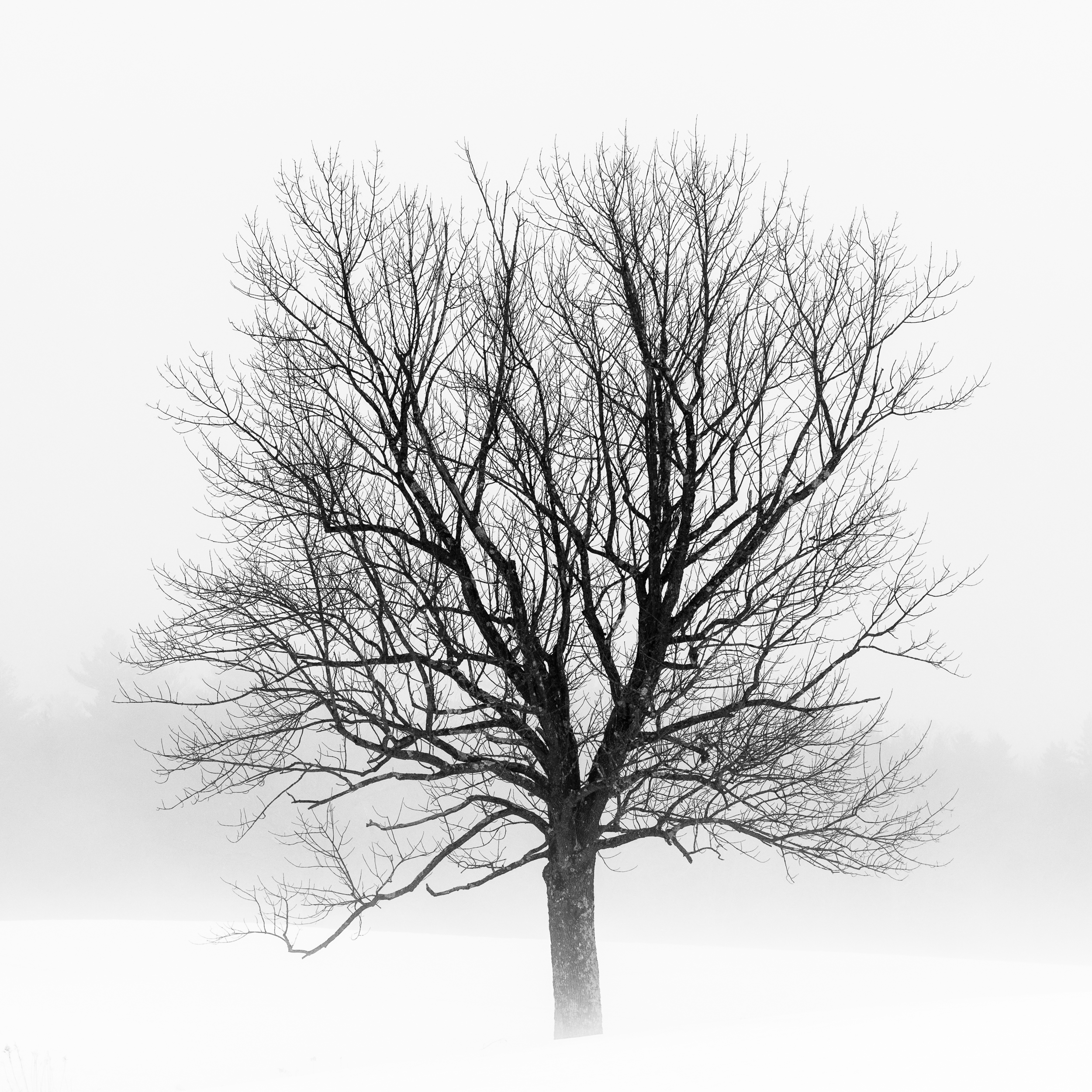 0008-JWalter_BWTrees-7867