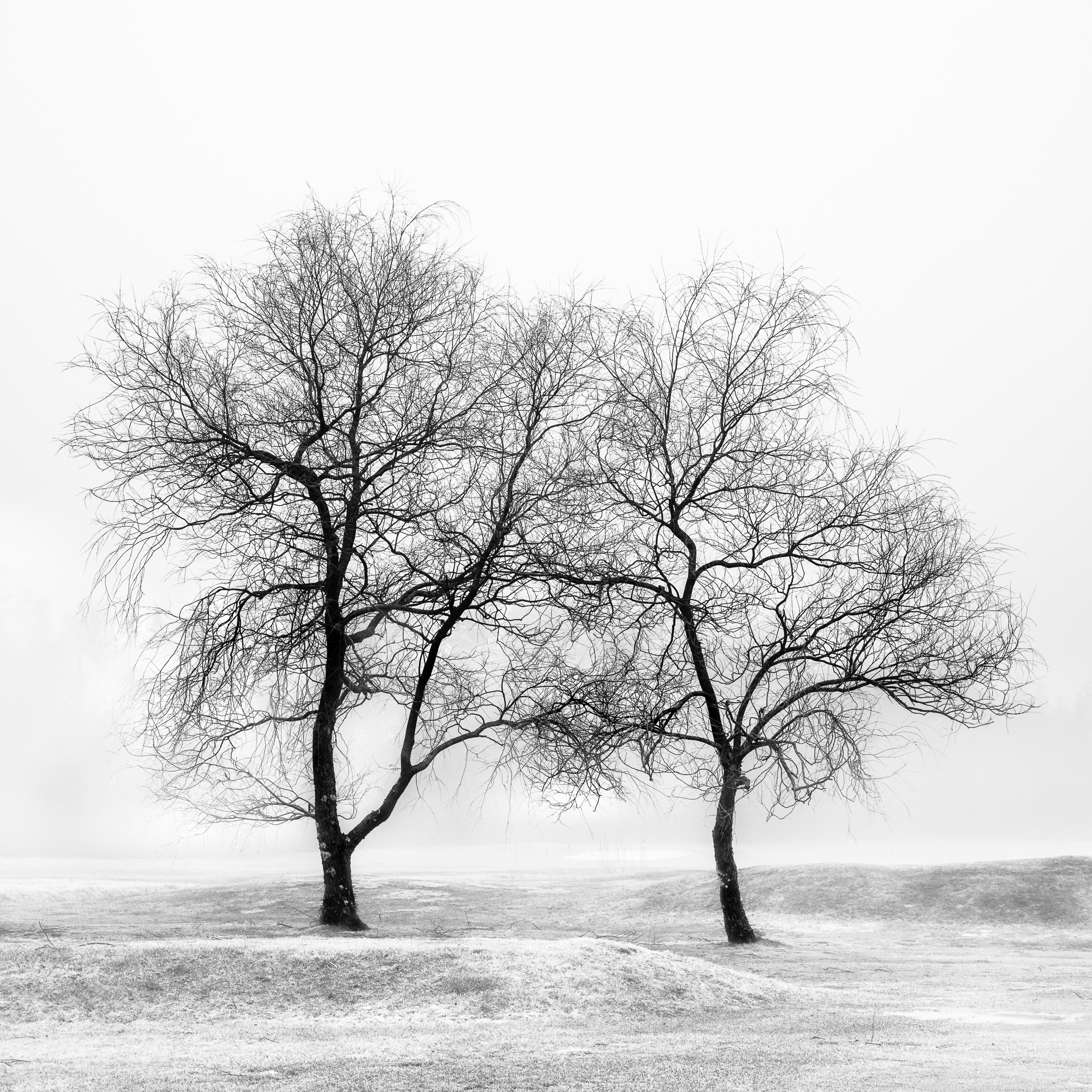 0012-JWalter_BWTrees-6247