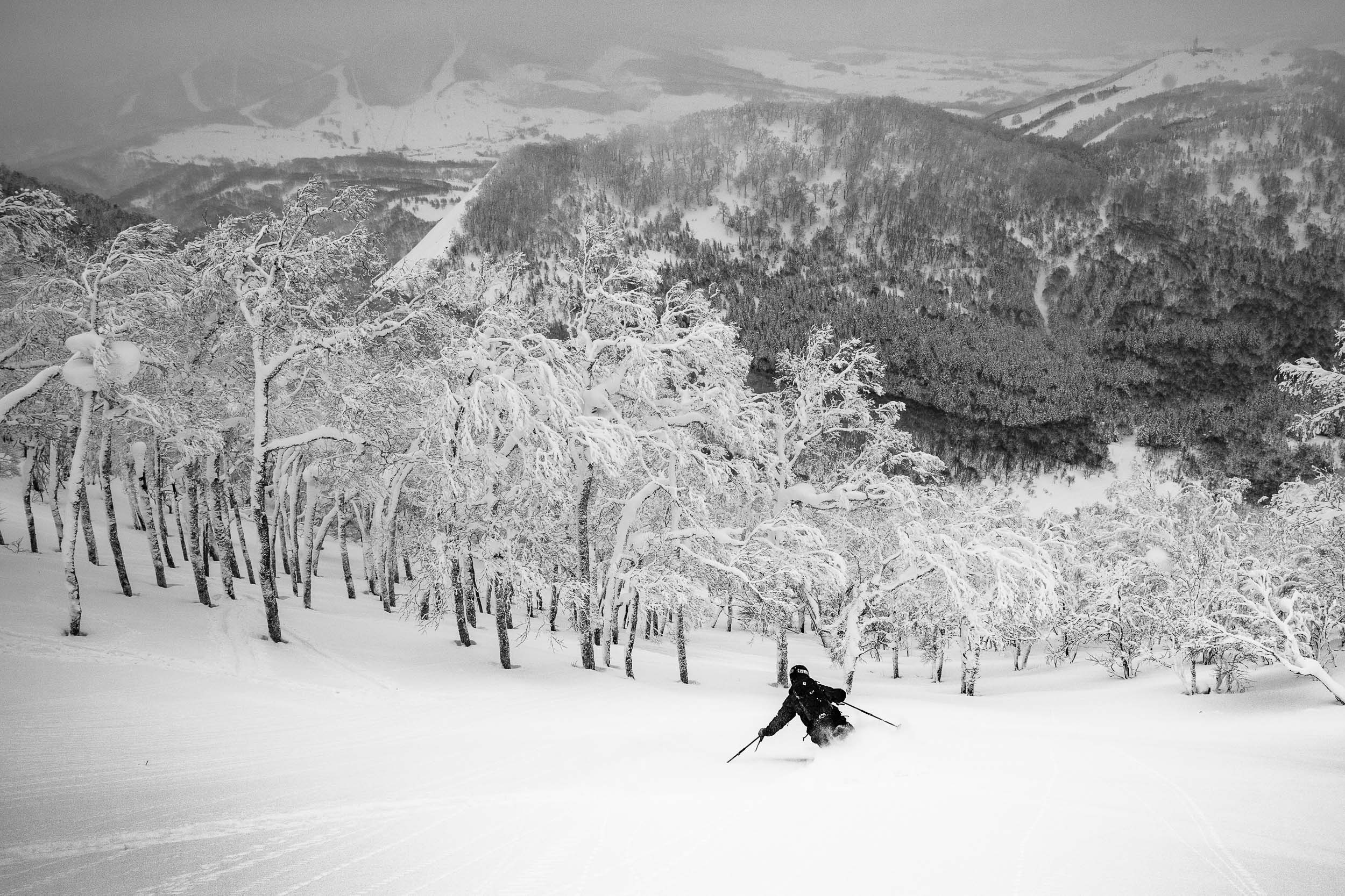 0022-JWalter_Japan-5917