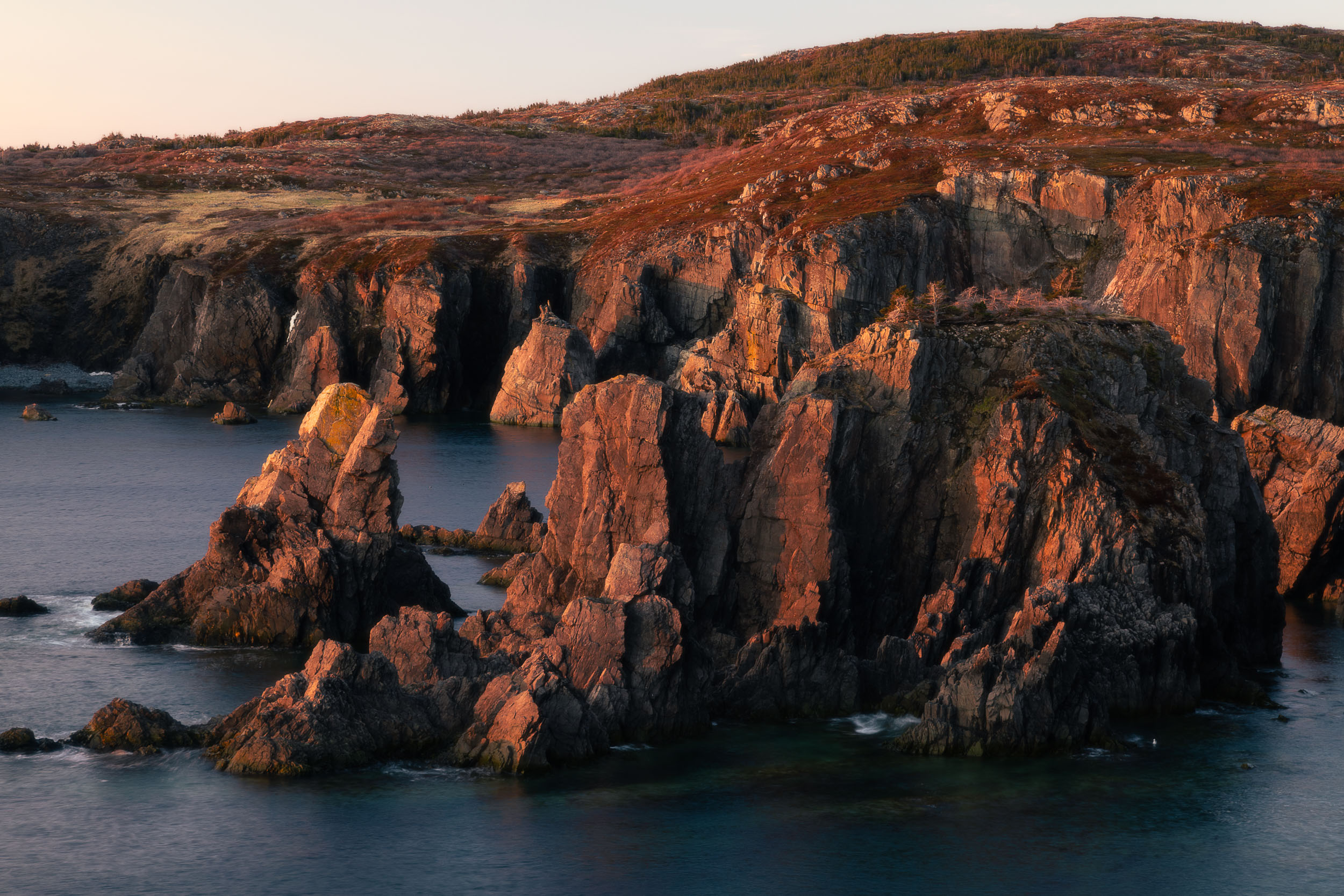 0040-Newfoundland2023-_AW_1176-Edit